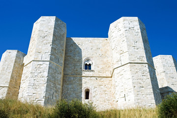 Fototapeta na wymiar The Impressive Svevo Castle