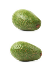 Avocado fruit isolated