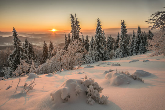 Fototapeta Wschód słońca  Jaworzyna Krynicka ,Beskid Sądecki.