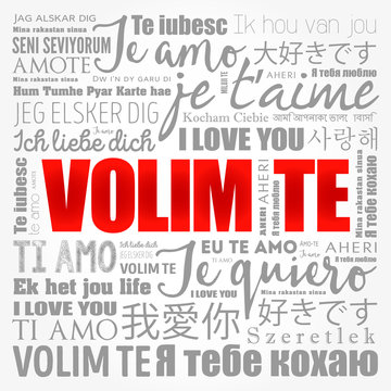 Volim te (I Love You in Croatian) in different languages of the world, word cloud background