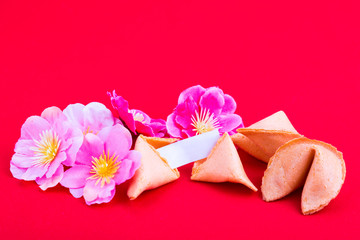 Fortune cookies with plum blossom flowers on red background