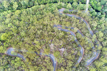 D Berowra Road Snake Top Down