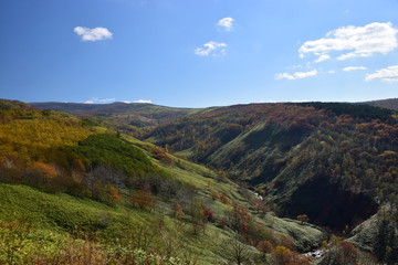 Obraz premium 登別の紅葉