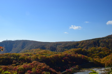 Fototapeta premium 登別の紅葉