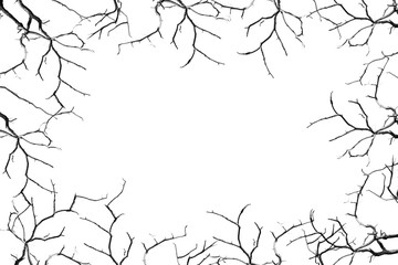 Text ready abstract background, wallpaper, print, cover, banner. Set of wood branches as a frame on a white background.