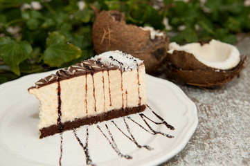 Coconut cake with chocolate on a white plate