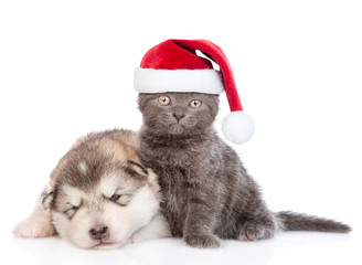 Funny kitten with red christmas hat and sleeping puppy.  isolated on white background