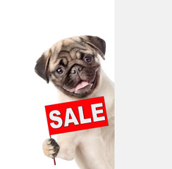 Dog with sales symbol above white banner. isolated on white background