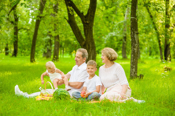 Fototapeta premium Happy family picnic. Grandparents having a picnic in nature with grandchildren