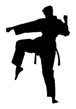 Karate man fighter in kimono, vector silhouette illustration. Black belt category.
