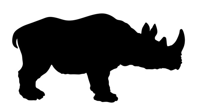Rhinoceros vector silhouette illustration isolated on white background.