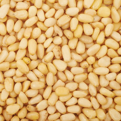 Surface coated with pine nuts