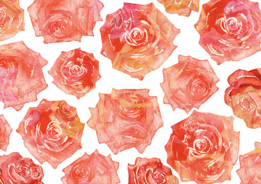 薔薇 背景 花柄 水彩 イラスト Stock Illustration Adobe Stock 薔薇 背景 花柄 水彩 イラスト Stock Illustration Adobe Stock