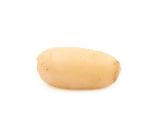 Single pine nut isolated