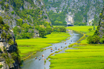 Tourist ride boat for travel sight seeing Rice field on river "Ngo Dong" at TamCoc, Ninhbinh, Vietnam;