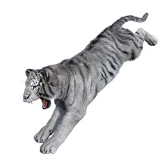 Fototapeta premium 3D Rendering White Tiger on White