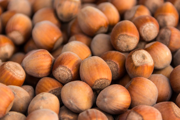 Food background of the hazelnuts. Fresh filbert close-up