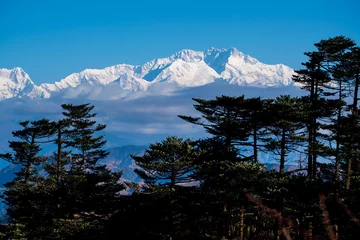 Cercles muraux Kangchenjunga Kangchenjunga mount landscape during blue sky day time behind pine tree