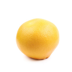 Juicy red grapefruit isolated