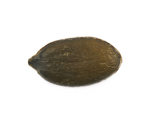Single pumpkin seed isolated