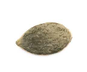 Fototapeta premium Single pumpkin seed isolated