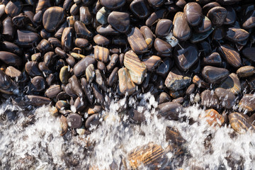 Small beautiful pebble stone around the beach