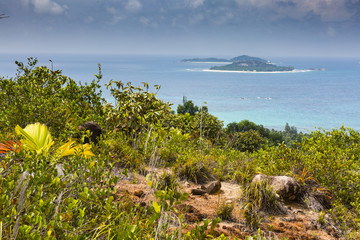 The tropical islands of the Seychelles