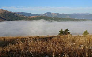 Over the foggy world