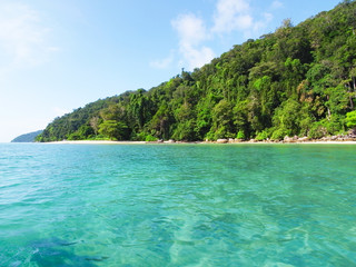 Fototapeta na wymiar Crystal clear sea of tropical island, Surin island, Thailand