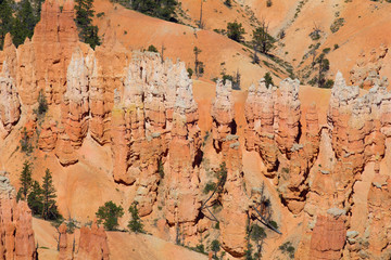 Bryce canyon