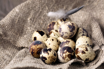 Quail eggs in a nest on a rustic wooden background. Healthy food concept.