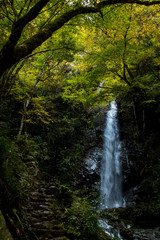 Fototapeta premium Autumn waterfall