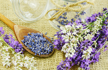 Obraz na płótnie Canvas dried and fresh lavenders on sack background