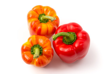 Paprika