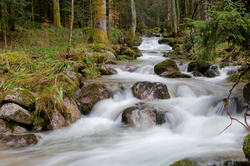Ruisseau et cascades des Vosges