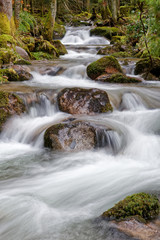 Ruisseau et cascades des Vosges