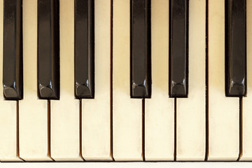 Naklejka premium Piano close-up, musical instrument. learn to play the instrument at home. white large piano. piano keyboard. concert concept.