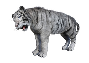 Fototapeta na wymiar 3D Rendering White Tiger on White