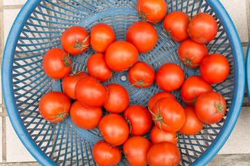 Tomato texture. Fresh big red tomatoes closeup background photo. Pile of tomatoes. Tomato pattern with studio lights. Big red vegetables.