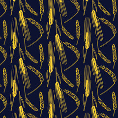 Hand drawn spring wheat vector pattern card template in gold and dark blue colors palette