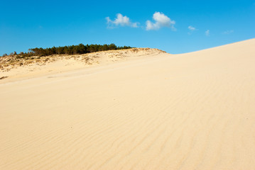 The Great Dune of Pyla