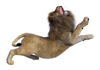 Fototapeta premium 3D Rendering Male Lion on White