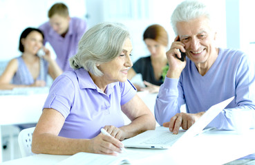 senior businesspeople working in the office