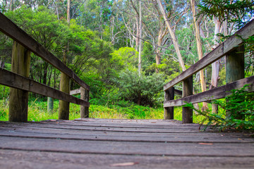 Fototapeta premium Low angle view of wooden bridge in Australian nature
