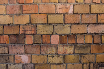 Orange wall made of bricks.