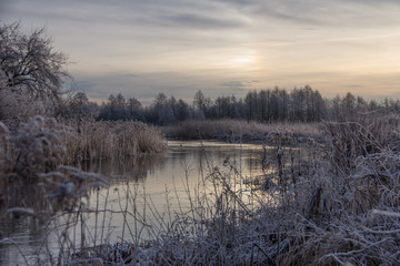  River in the rays of the rising winter sun with vegetation along the banks