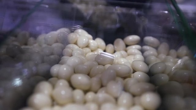 Pour into the show-window of the sovok delicious round candies made of white chocolate. HD, 1920x1080, slow motion