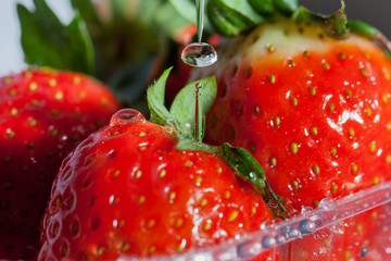 Washing of strawberries in kitchen.