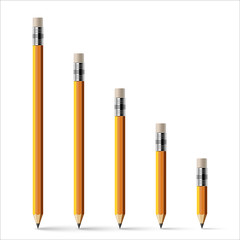 Different size pencils with erasers isolated on white. Vector illustration.