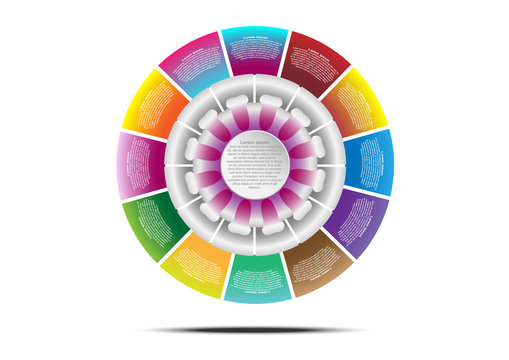 Business circle  with flower blossom infographic template for create report and presentation. Vector EPS10